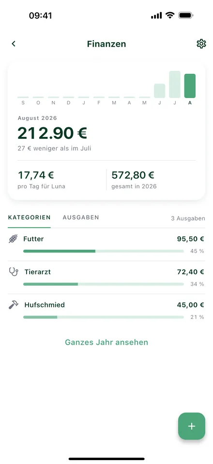 Finanz-Bildschirm mit Monatssumme und Kategorien